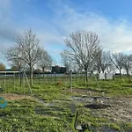 Mobil-home Avec Terrasse, Ideal Pour 4 - Api-1-52-1699 营地 *